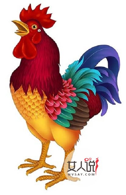 属鸡本命年已过去,2018转运大旺!