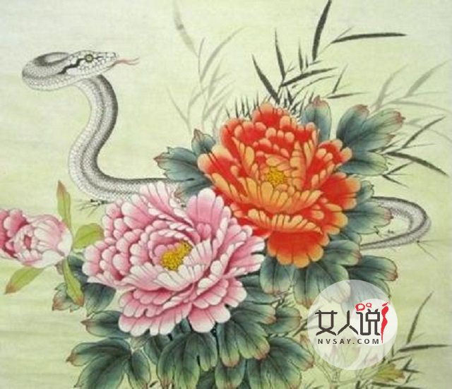 属蛇的今年多大?你知道吗?