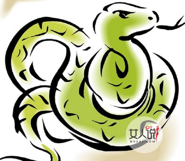 属蛇的今年多大?你知道吗?