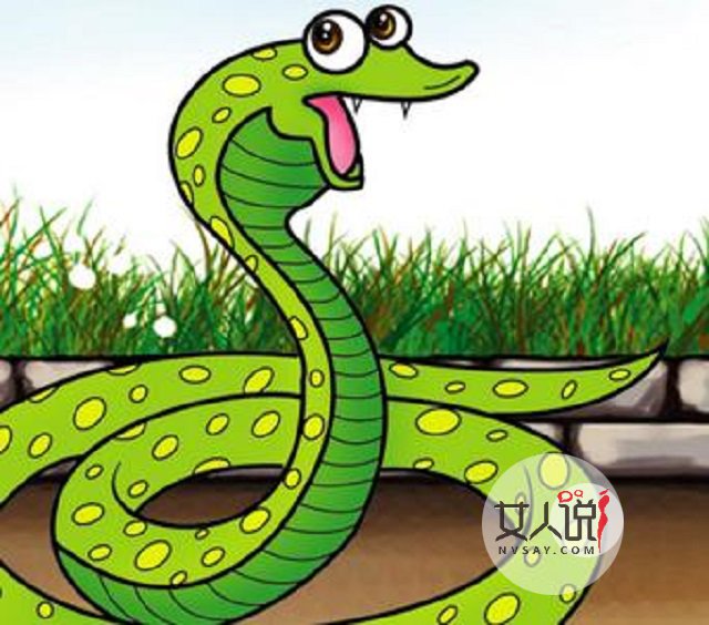 属蛇的今年多大?你知道吗?