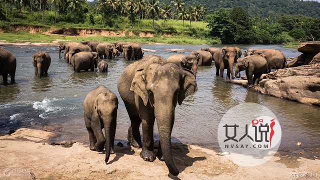 拥有“最美丽的岛屿”之称,“宝石王国”斯里兰卡是哪个国家?