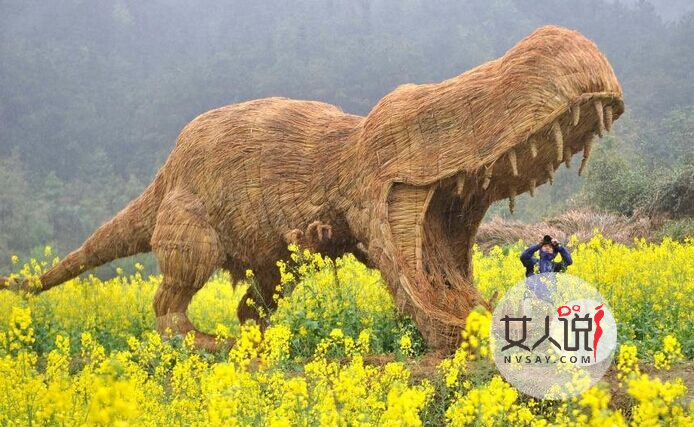 超全恐龙的资料,让你了解一个全新的恐龙世界