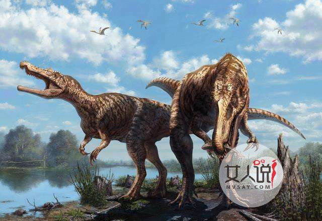 超全恐龙的资料,让你了解一个全新的恐龙世界