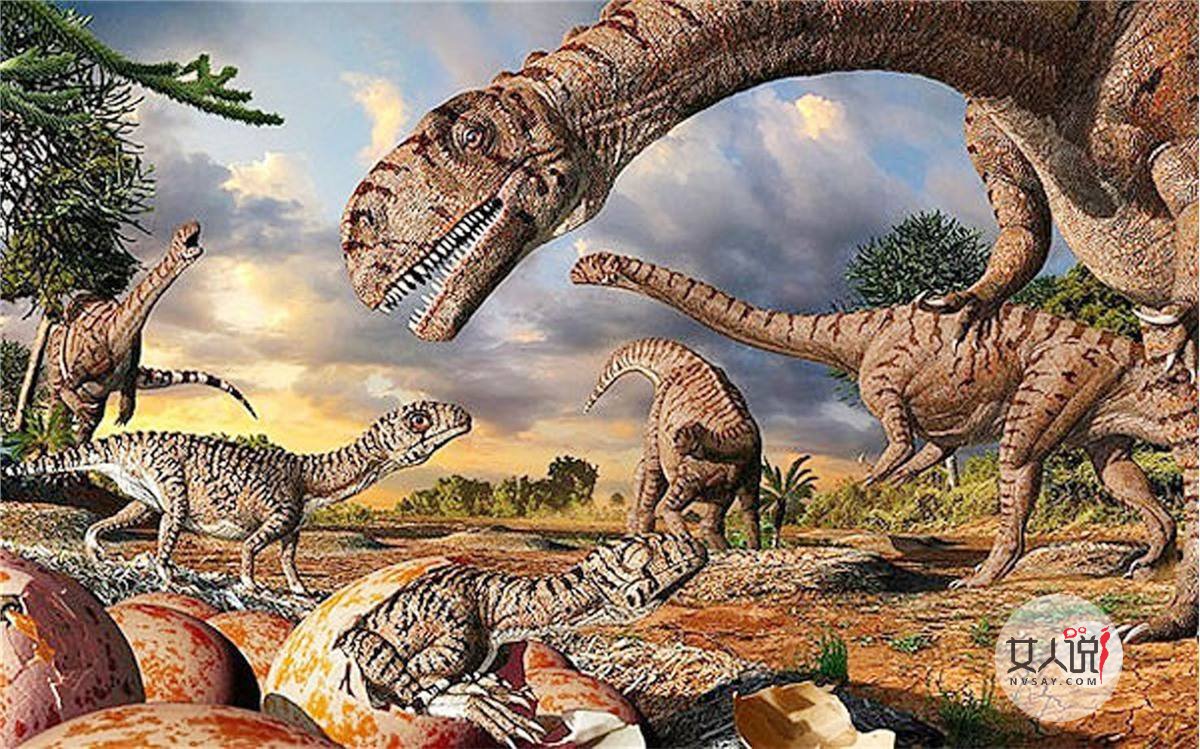 超全恐龙的资料,让你了解一个全新的恐龙世界