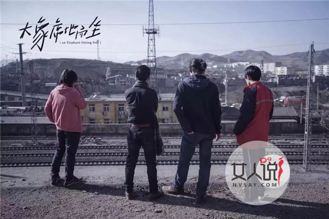 胡波导演自杀真相 大象席地而坐成为一致好评的遗作