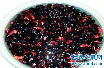 桑葚的功效与作用?女人最应该知道!