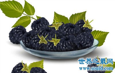 桑葚的功效与作用?女人最应该知道!