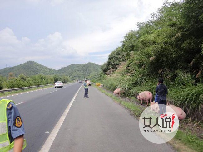 高速上九头猪车厢打架 一言不合大打出手险酿悲剧现场很混乱