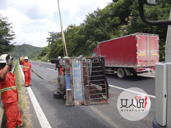高速上九头猪车厢打架 一言不合大打出手险酿悲剧现场很混乱