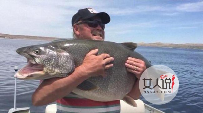 男子钓1.2米大鱼 自己不舍得杀死它后放生获众人大赞