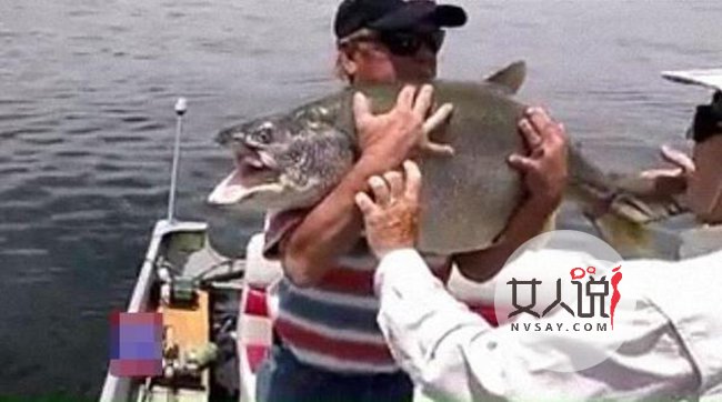 男子钓1.2米大鱼 自己不舍得杀死它后放生获众人大赞