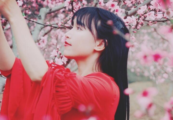 李子柒怎么盈利 李子柒身世揭秘很悲惨仙女的她靠什么赚钱