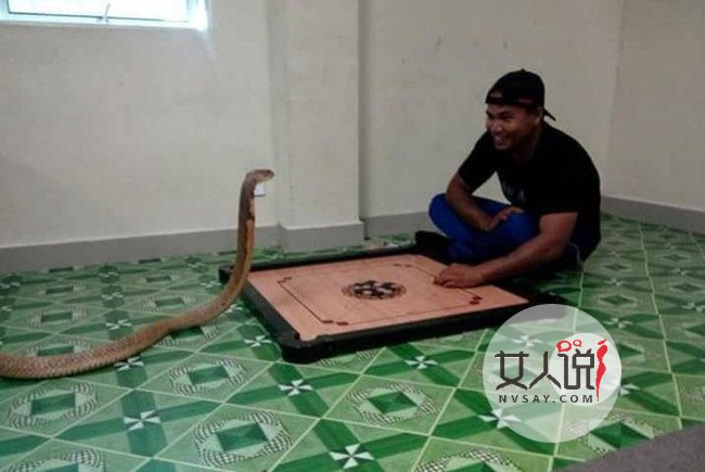 男子称女友转世成蛇 痴情男情迷美女蛇出双入对荒谬至极