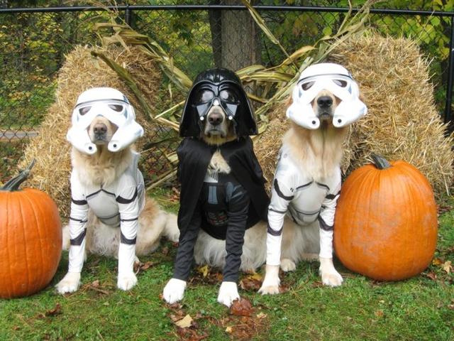 周末就是万圣节了 给你篇穿搭预热贴