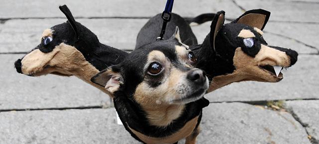 周末就是万圣节了 给你篇穿搭预热贴