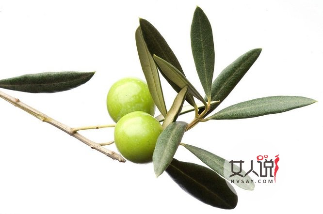 吃过橄榄吗? 它可浑身都是宝哦！