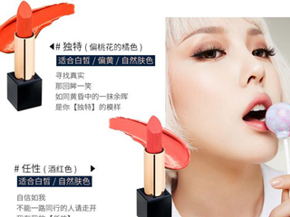 pony口红试色效果图 跟大神学化妆必备同款口红
