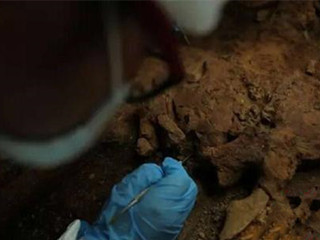 千年女尸腹藏胎儿 人骨亲子鉴定揭开背后千年的秘密