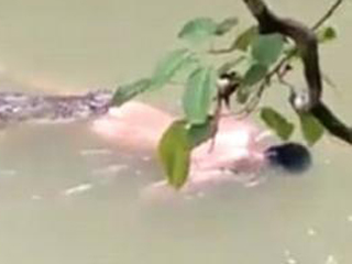 鳄鱼将男子拖入水 万万没想到发生惊人一幕惊掉众人下巴