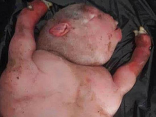 南非惊现地狱怪胎 来自地狱的怪物背后真相令人震惊