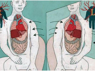 男子五脏六腑反长 背后真相曝光给医生动手术来个措手不及