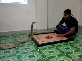 男子称女友转世成蛇 痴情男情迷美女蛇出双入对荒谬至极