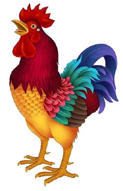 属鸡本命年已过去，2018转运大旺！