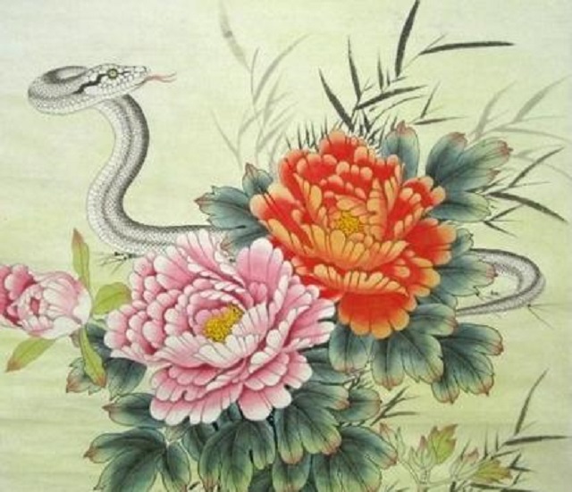 属蛇的今年多大？你知道吗？