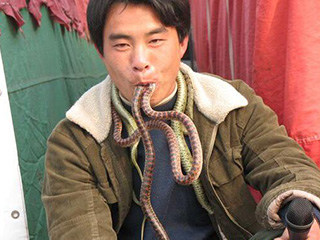 吃蛇无数变成蛇人 揭男子好吃变怪物事件始末曝光很惊恐