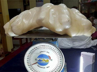 渔民发现最大珍珠 重达34公斤被奉为好运石供顶礼膜拜