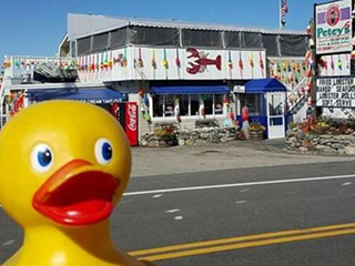 贼偷大黄鸭游世界 揭贼偷大黄鸭游世界后物归原主的原因