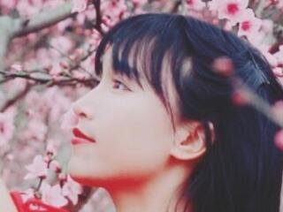 李子柒怎么盈利 李子柒身世揭秘很悲惨仙女的她靠什么赚钱