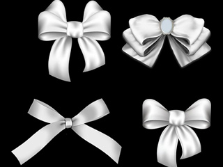 蝴蝶结几种系法的图解 两种蝴蝶结系法想学的就进来