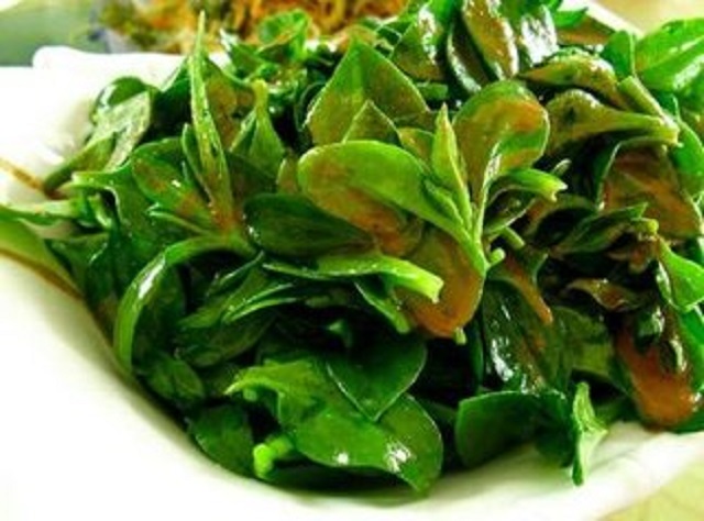 田七的功效与作用及食用方法，真的是疾病的天敌