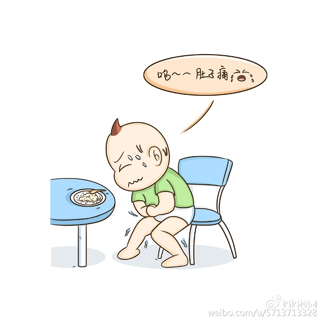拉肚子吃什么食物好？肠胃调理日常篇分享！