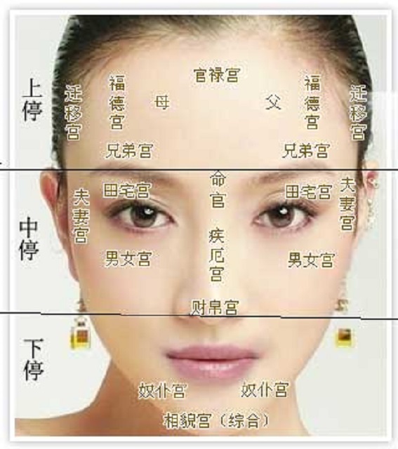 财运好不好还得看五官？长得好钱财自然多！