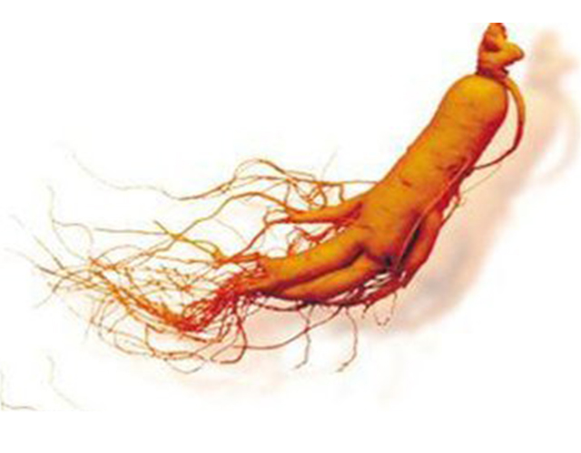 养生保健小课堂开讲啦：红参的功效与作用